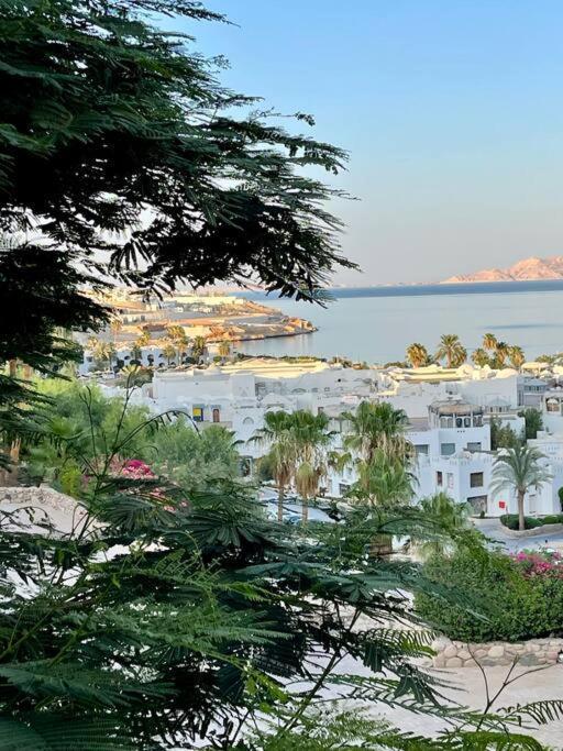 ℂoral Bay Dream - Luxury Sunset Sea View Apartment
