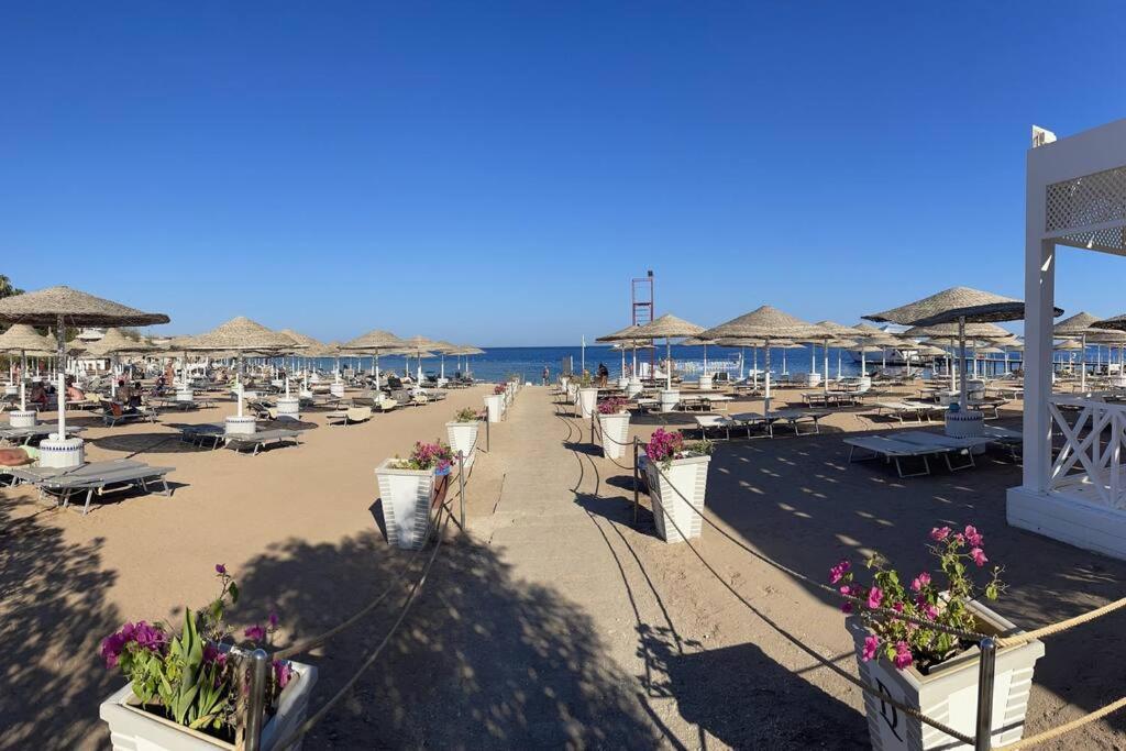 ℂoral Bay Dream - Luxury Sunset Sea View Apartment